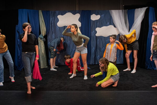 Photo spectacle "Mais où sont les oiseaux ?" de la poésie au théâtre avec les P’titbûle